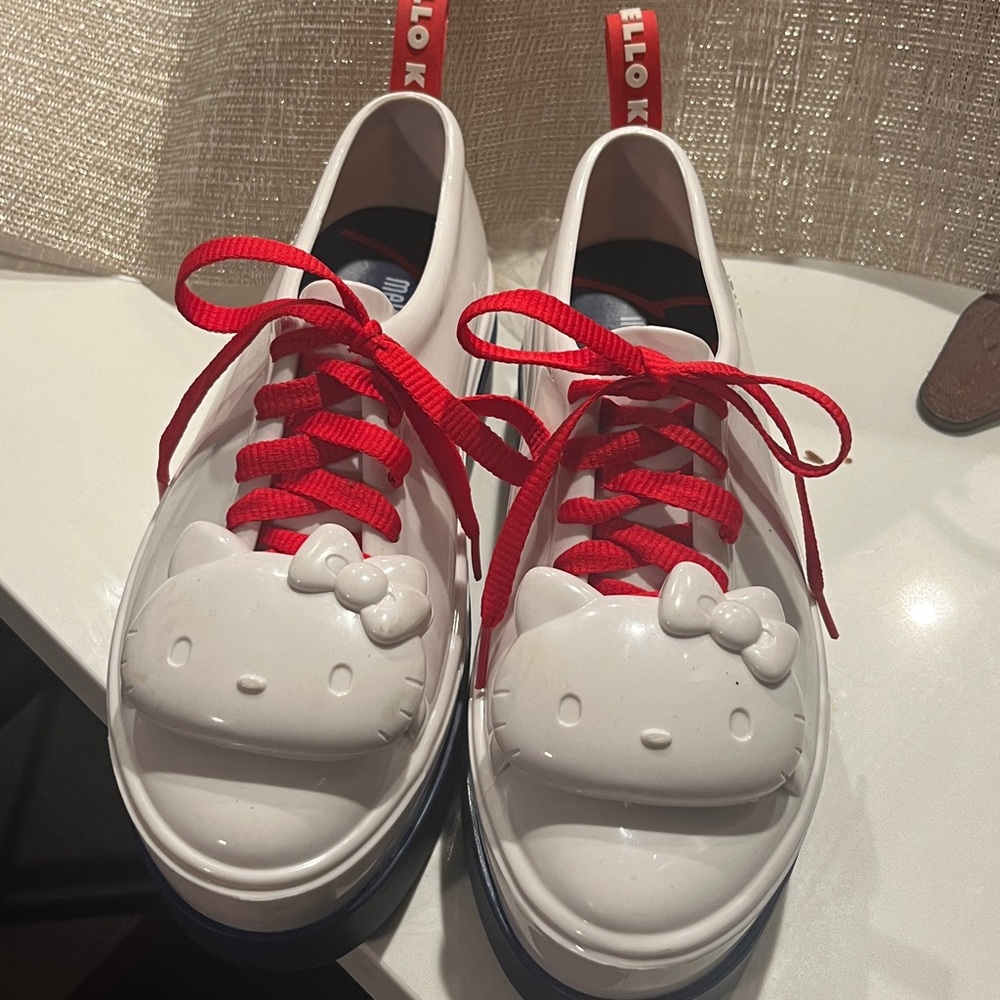 Nice pair of Hello Kitty shoes!